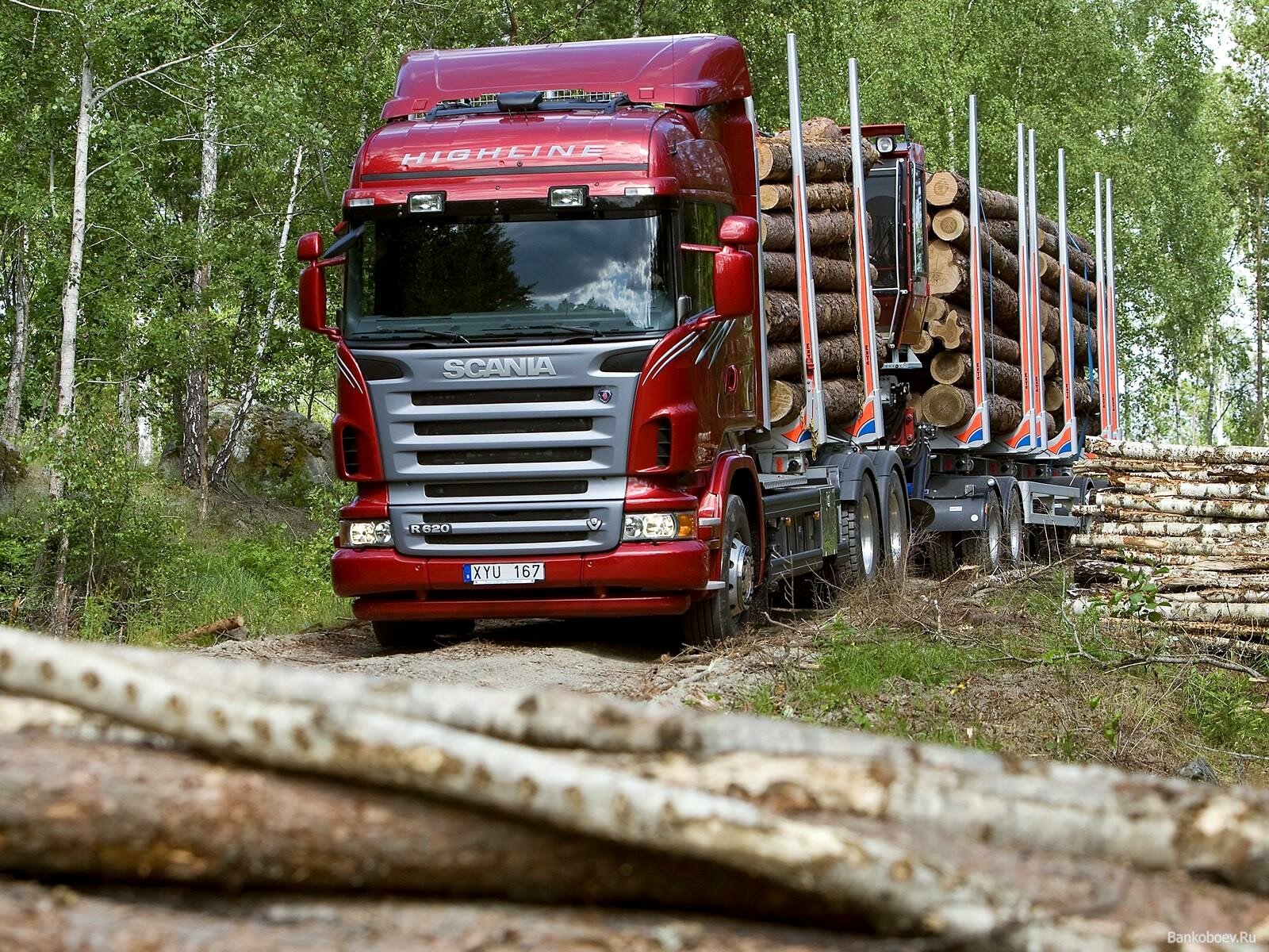 перевозка леса харьков